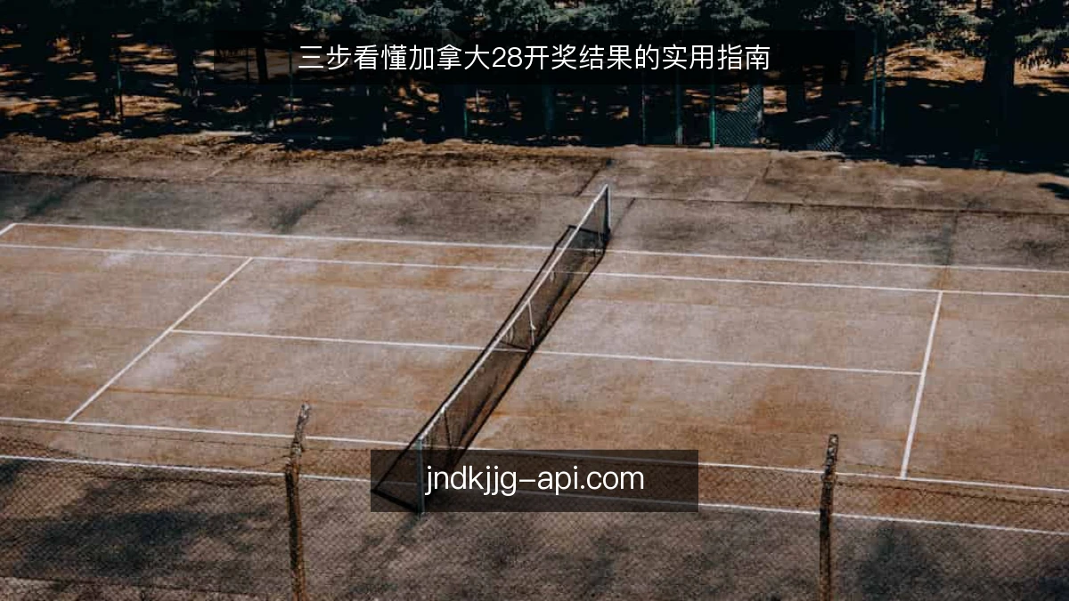 三步看懂加拿大28开奖结果的实用指南