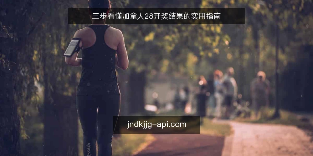 三步看懂加拿大28开奖结果的实用指南 — 准备:明确你的信息需求 配图
