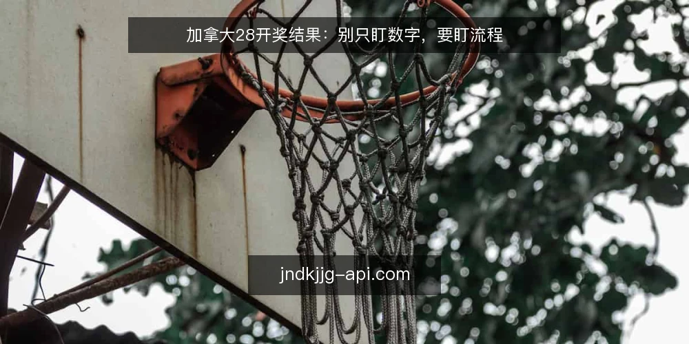 加拿大28开奖结果:别只盯数字,要盯流程 — 为什么只盯开奖结果会误事 配图