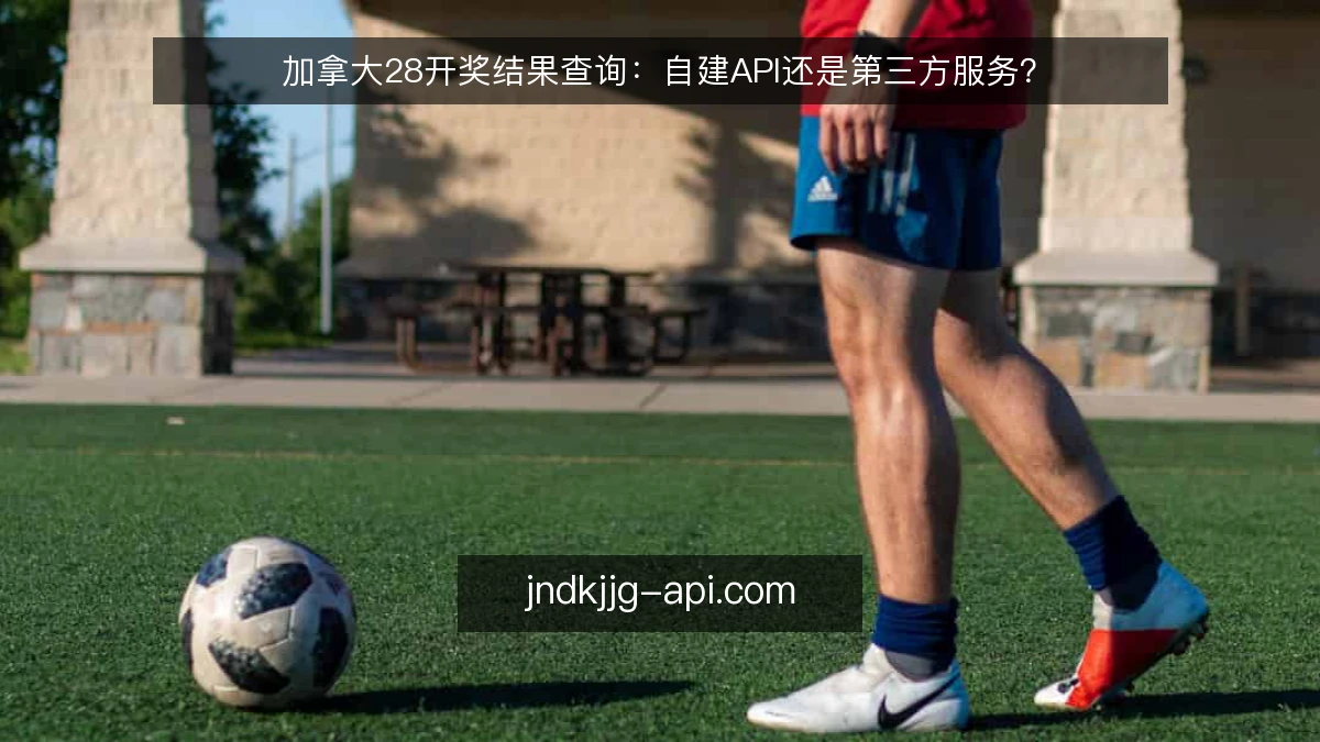 加拿大28开奖结果查询:自建API还是第三方服务?