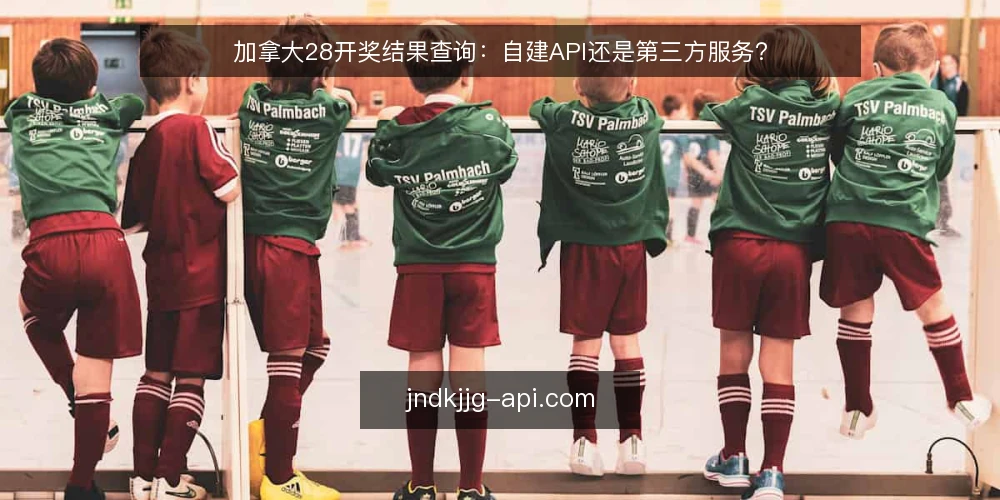 加拿大28开奖结果查询:自建API还是第三方服务? — 需求定义:先明确查询场景与数据要求 配图