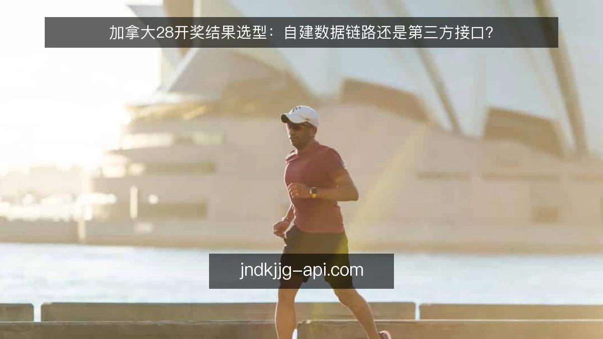 加拿大28开奖结果选型：自建数据链路还是第三方接口？