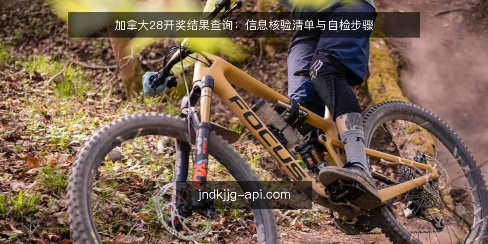 加拿大28开奖结果查询：信息核验清单与自检步骤 — 为什么现在需要核验开奖结果 配图