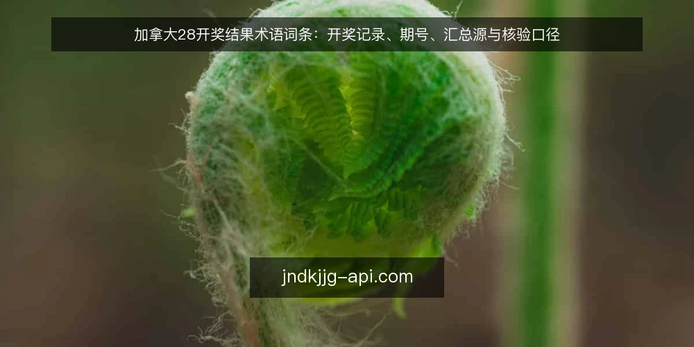 加拿大28开奖结果术语词条：开奖记录、期号、汇总源与核验口径 — 信号观察：一线要盯哪些术语 配图