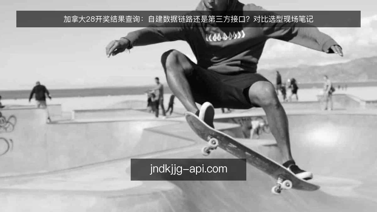加拿大28开奖结果查询：自建数据链路还是第三方接口？对比选型现场笔记