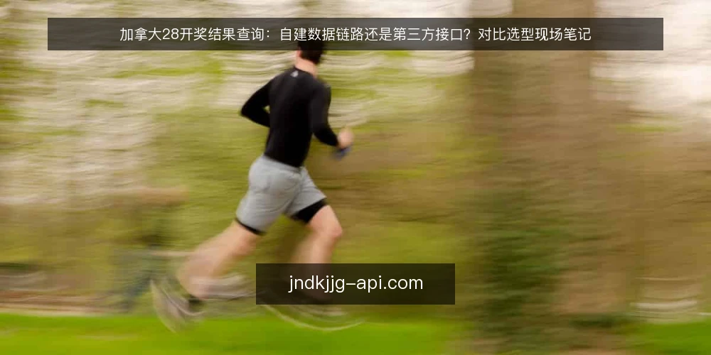 加拿大28开奖结果查询：自建数据链路还是第三方接口？对比选型现场笔记 — 现场信号：先看哪些指标 配图